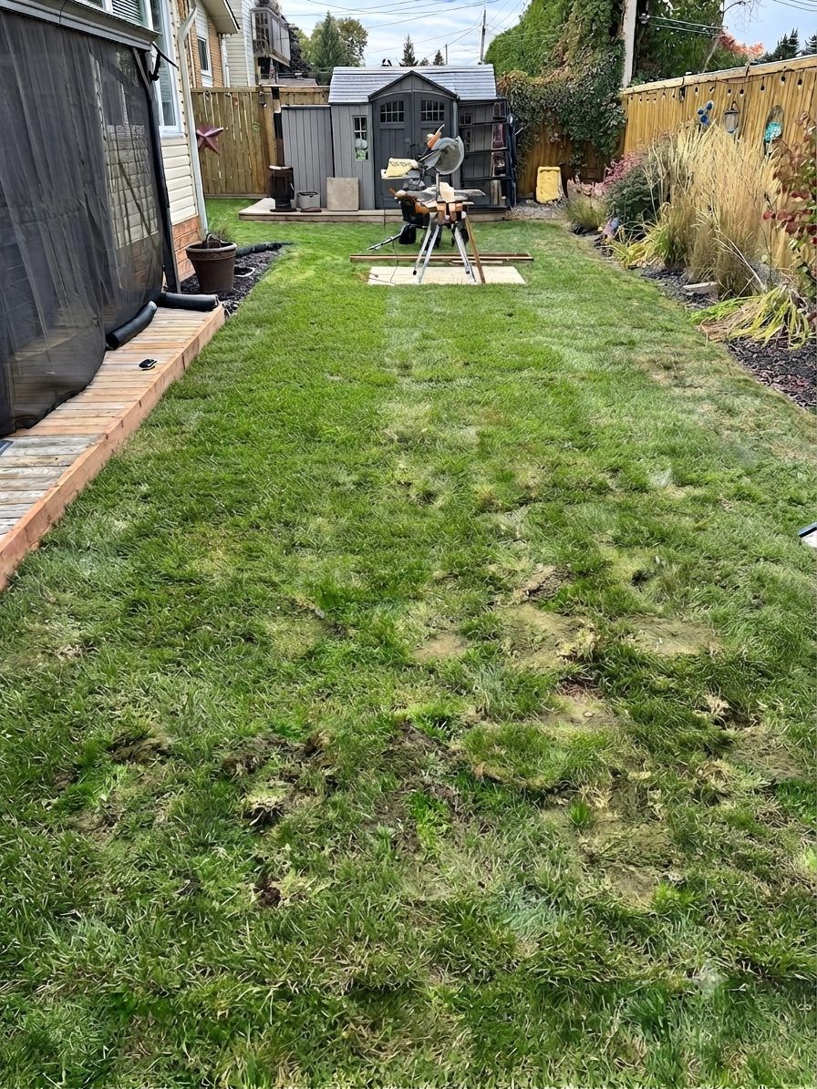 Back yard before construction, patchy lawn and open ground
